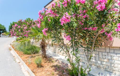 Apartmani Luka 1