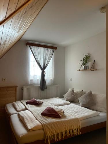 Pension MÍŠA (Pension MISA) in Pec pod Snezkou