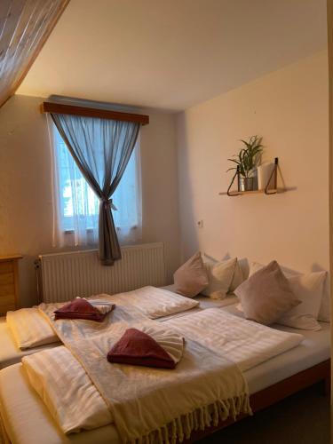 Pension MÍŠA (Pension MISA) in Pec pod Snezkou