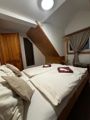 Pension MÍŠA (Pension MISA) in Pec pod Snezkou