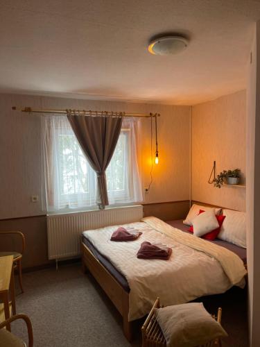 Pension MÍŠA (Pension MISA) in Pec pod Snezkou