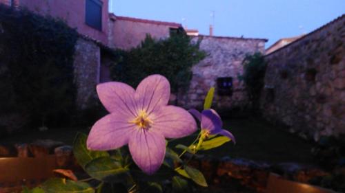 La Casa de la Abuela Petra