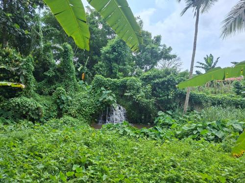 สภาพแวดล้อมโดยรอบ, Quinta de 4 Pilares in ปรินซิเป