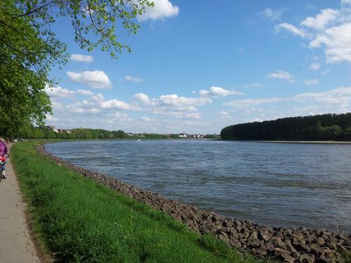 StayInCologne - image 8