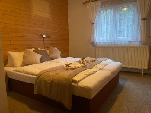 Pension MÍŠA (Pension MISA) in Pec pod Snezkou