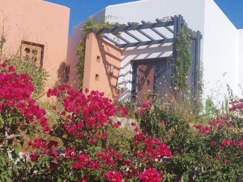 ระเบียง/ชานเรือน, Patios do Algarve in คาวีโร