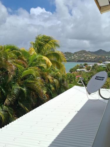 Grande Villa Tropicale au Robert avec Vue Mer, Terrasse, Clim in Hyacinthe