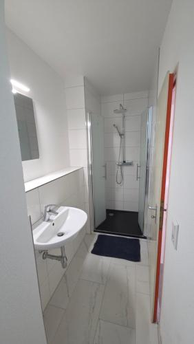 Shower, Geraumiges Apartment in ruhiger Lage in Biblis