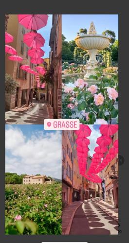 Soleil & Parfums de Grasse - Location saisonnière - Grasse