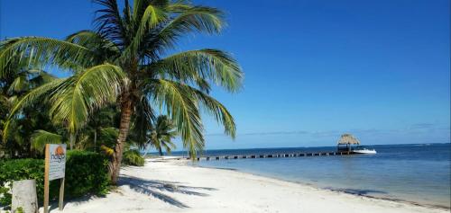 Vista exterior, Indigo Belize Beach 4C in Ambergris Caye