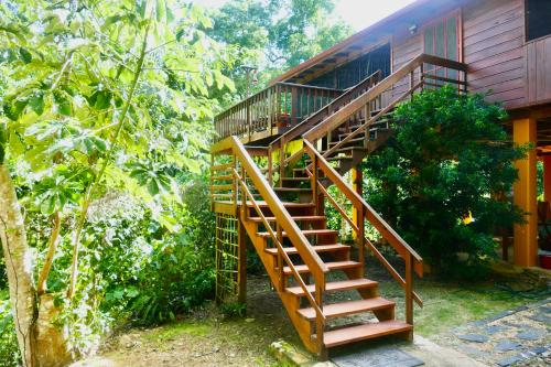 Kliffstone Jungle House in Blancaneau