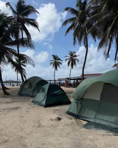 Islas de Guna Yala Camping frente al mar in El Porvenir