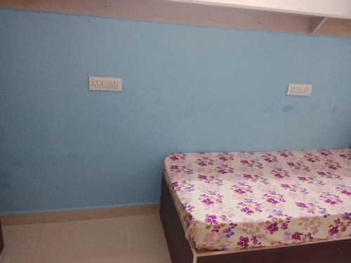 Pemmis living space in Chikkabellandur