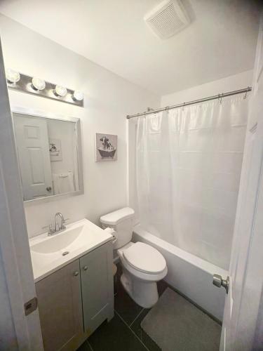 The Urban Cottage in Collier Heights