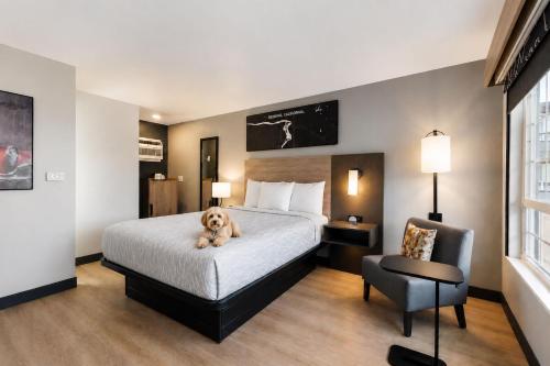 1 queen bed