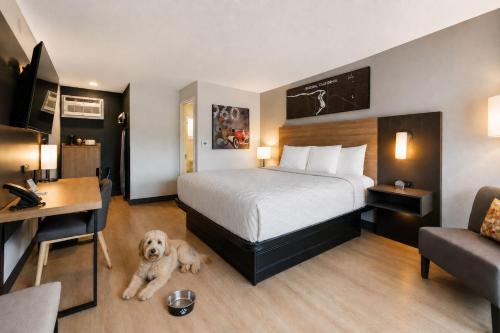 1 king bed