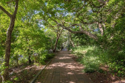 Yaringa Tranquil Noosa Hill Escape near Main Beach - image 3