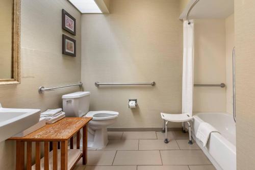 Comfort Inn Charlotte - image 41