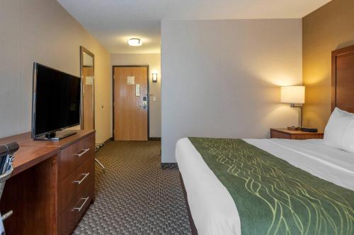 Comfort Inn Charlotte - image 36