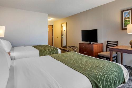 Comfort Inn Charlotte - image 34