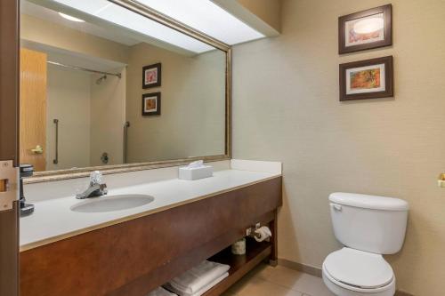 Comfort Inn Charlotte - image 32