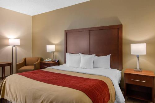 Comfort Inn Chester - Richmond South - image 27