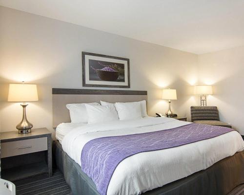 Comfort Inn Williamsburg Gateway - image 44