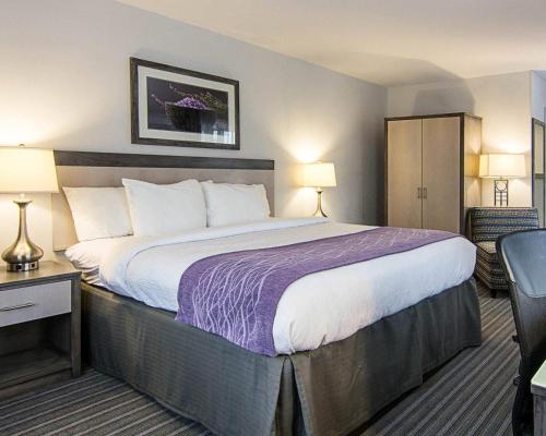 Comfort Inn Williamsburg Gateway - image 22