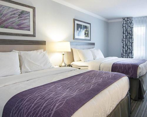 Comfort Inn Williamsburg Gateway - image 32