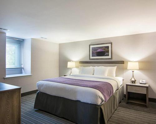 Comfort Inn Williamsburg Gateway - image 42