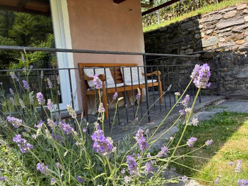 Casa immersa nel vigneto in Roveredo