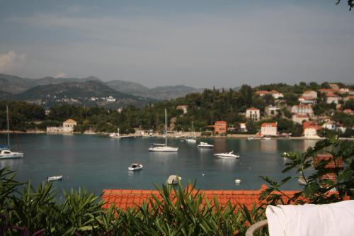  Apartment Barbara in Koločep