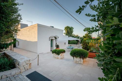 A casa di Antonia - Ulivo