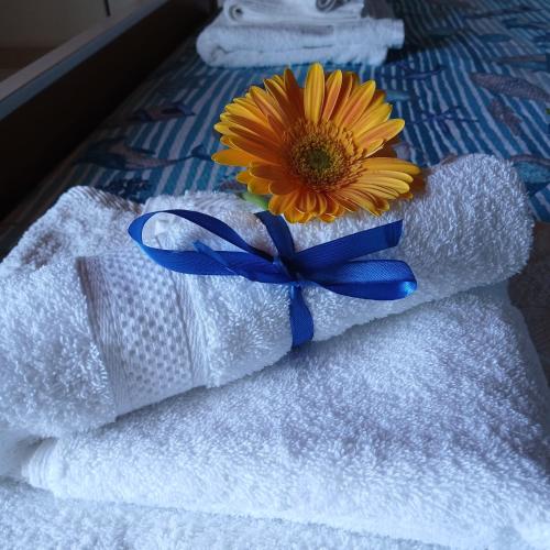 Guest House Orizzonte Blu