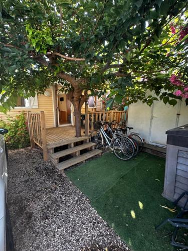 Mobil-home tout confort à Fréjus