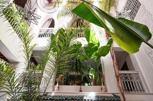 Riad N'S - image 14