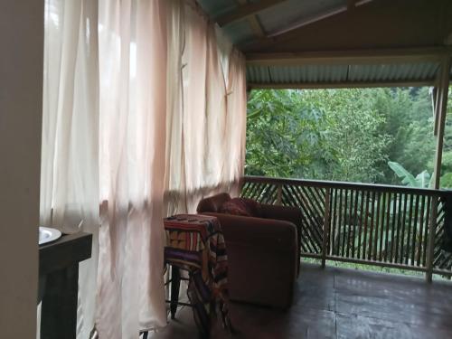 anthurium cabin in Saint George