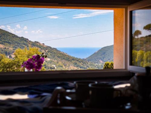 La Ginestra - HelloElba, Rio nellʼElba