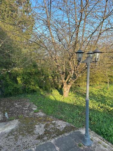 LEMAFIOlY in Raincourt