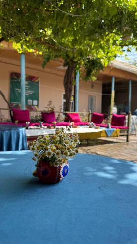 Gulzar Village Guesthouse in Dushanbe