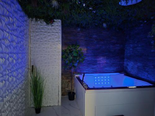 Appartement avec espace détente Balnéothérapie