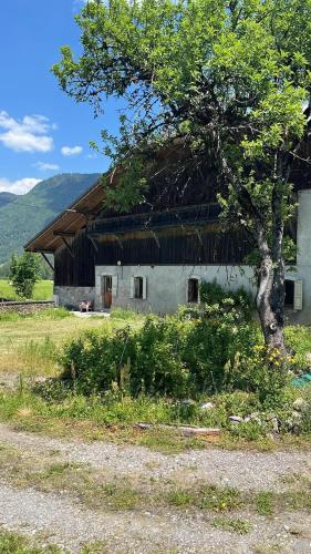 Appartement chaleureux au cœur des montagnes