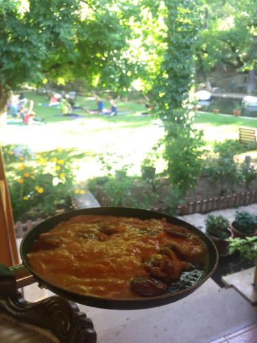 Dalya Life - image 2