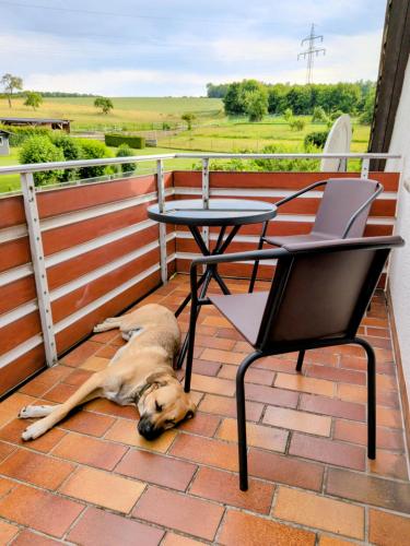 FeWo Sternenblick am hohen Meißner - Urlaub mit Hund und Familie in Berkatal