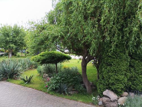Exterior view of Apartament Wolin nad woda kolo Miedzyzdrojow