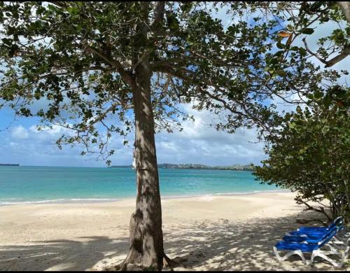 The Little Haven in Five Islands