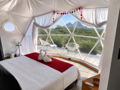 Romantic Dome & French Cuisine
