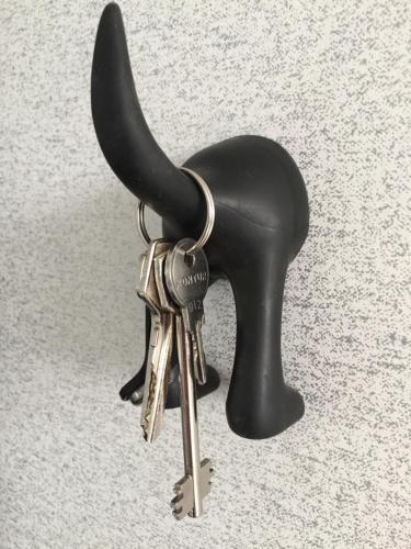 Apartment Star - main image