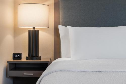 Hampton Inn & Suites - Roanoke-Downtown VA - image 24
