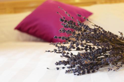 Lavender Tim – Dalat